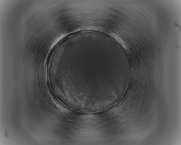 X0000091211127200708301422