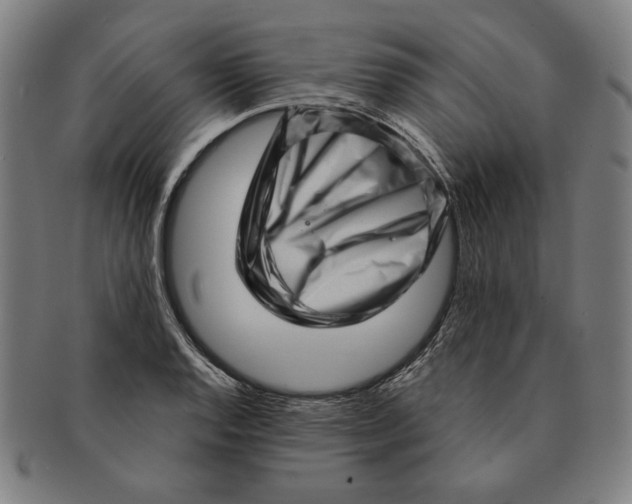 X0000091211128200708301422