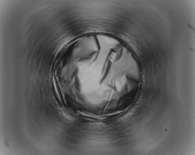 X0000091211129200708301422