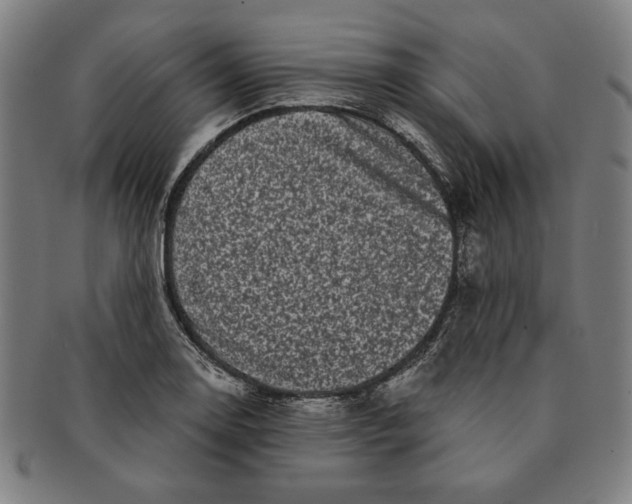 X0000091211130200708301422