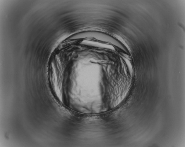 X0000091211133200708301422