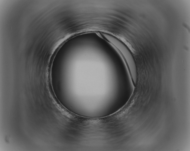 X0000091211134200708301422