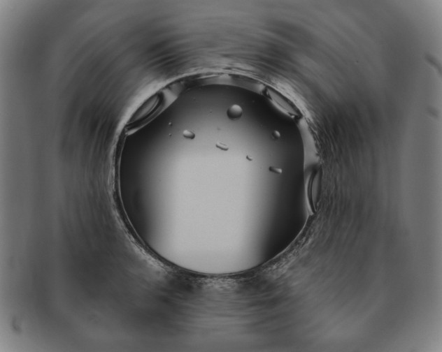 X0000091211136200708301422