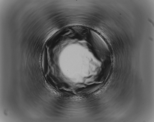 X0000091211137200708301422