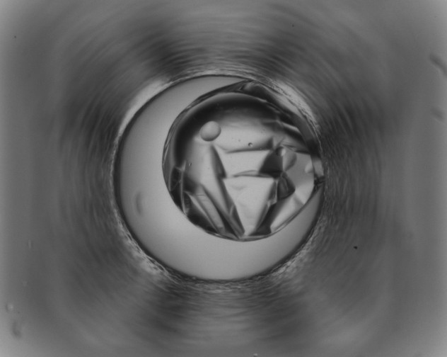 X0000091211138200708301422