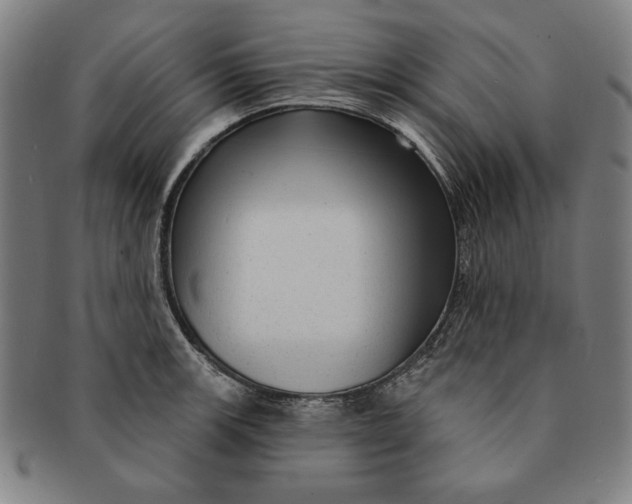 X0000091211139200708301422