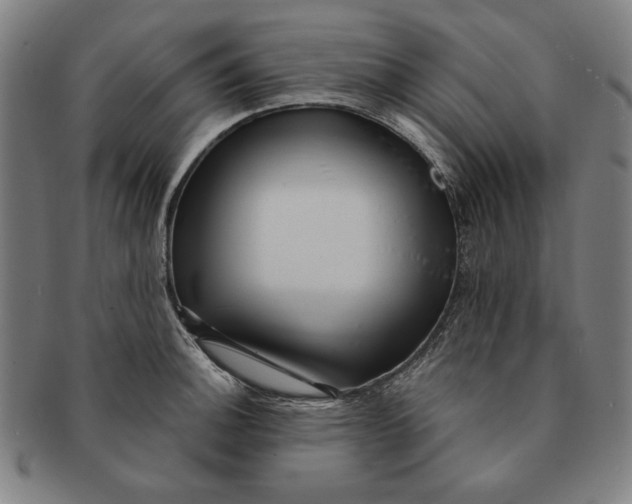 X0000091211140200708301422