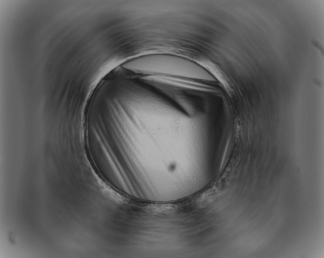 X0000091211143200708301422