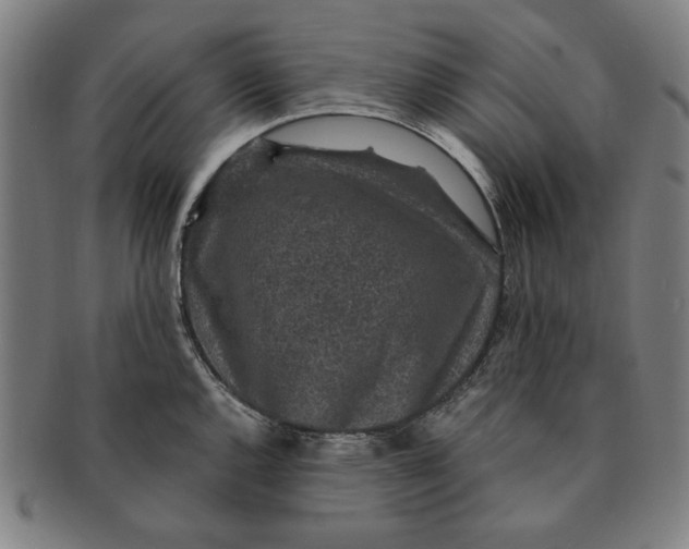 X0000091211144200708301422