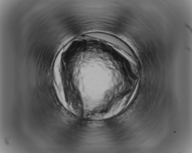 X0000091211145200708301422