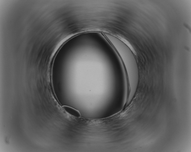 X0000091211148200708301422