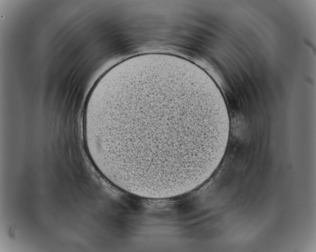 X0000091211150200708301422