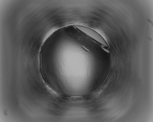 X0000091211151200708301422