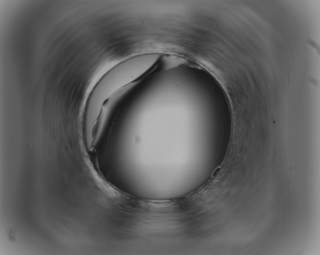 X0000091211152200708301422