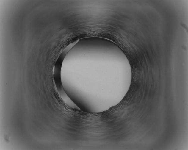 X0000091211153200708301422