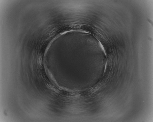 X0000091211154200708301422