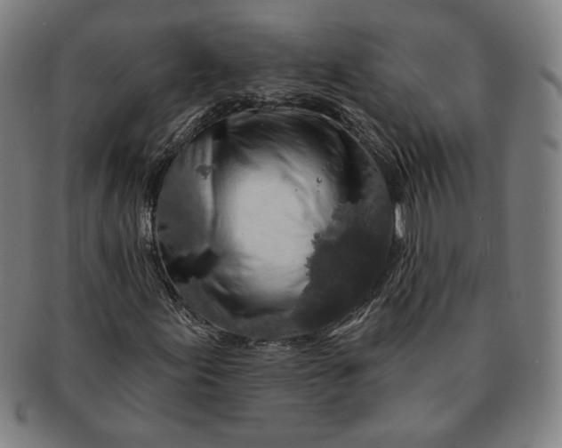 X0000091211155200708301422