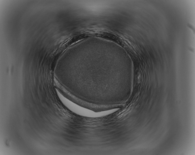 X0000091211156200708301422