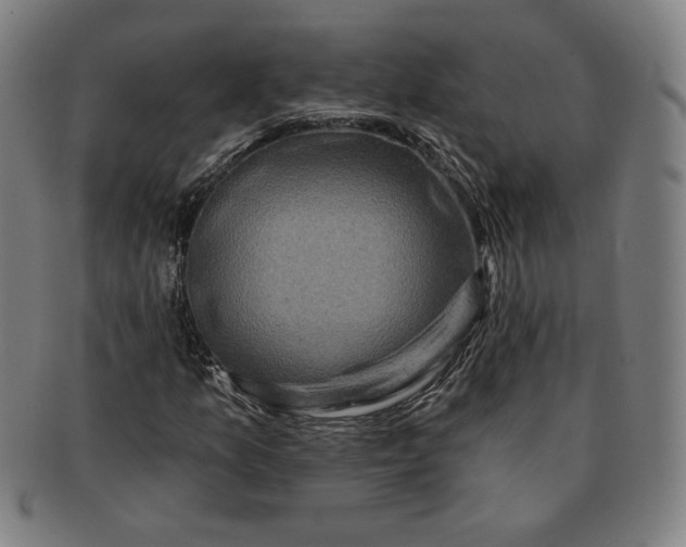 X0000091211157200708301422