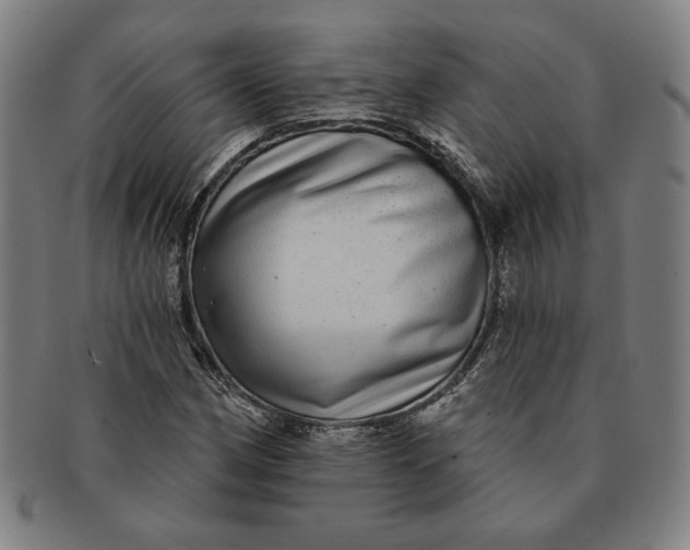 X0000091211162200708301422