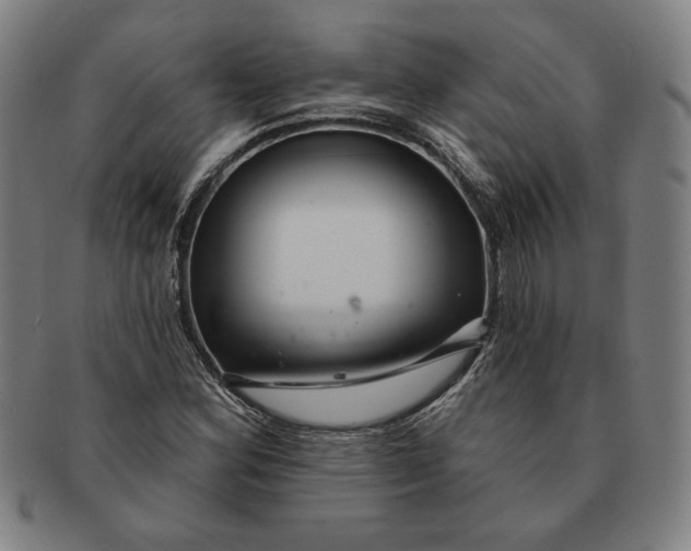 X0000091211164200708301422