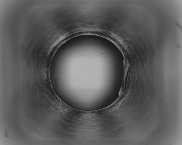 X0000091211165200708301422