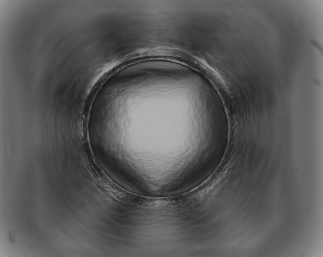 X0000091211166200708301421