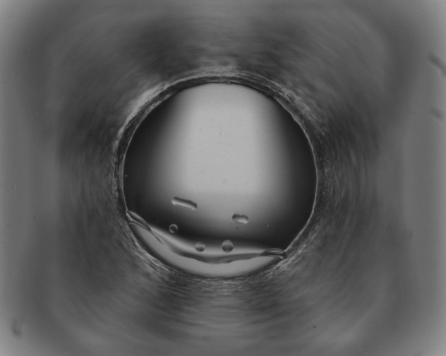 X0000091211168200708301421