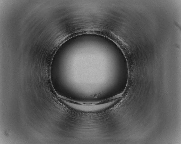 X0000091211169200708301421