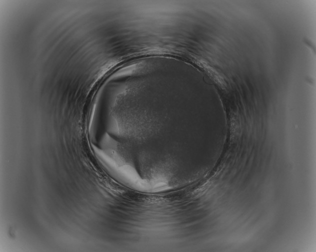 X0000091211170200708301421