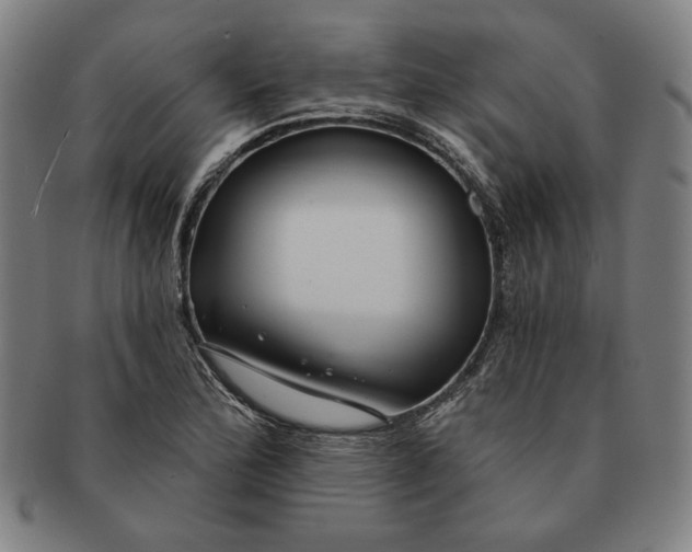 X0000091211172200708301421