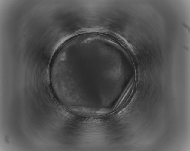 X0000091211174200708301421