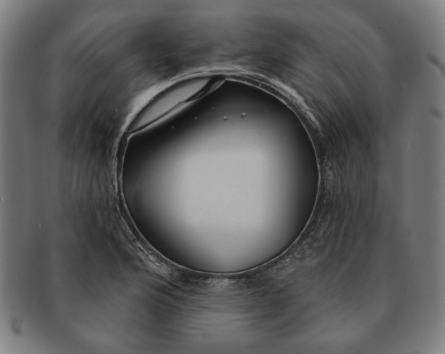 X0000091211176200708301421