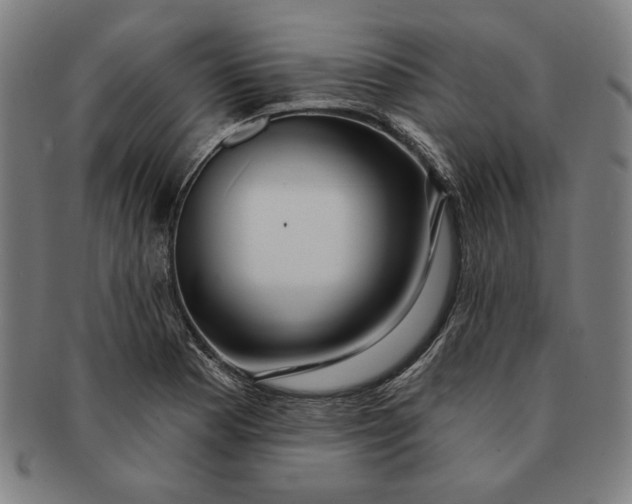 X0000091211177200708301421