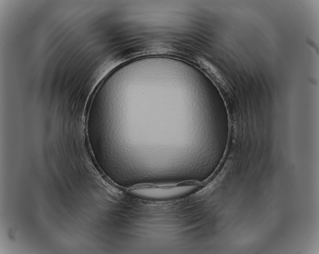 X0000091211178200708301421