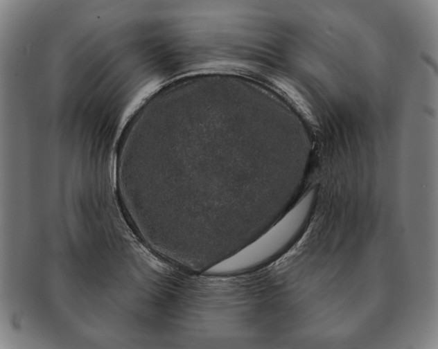 X0000091211180200708301421