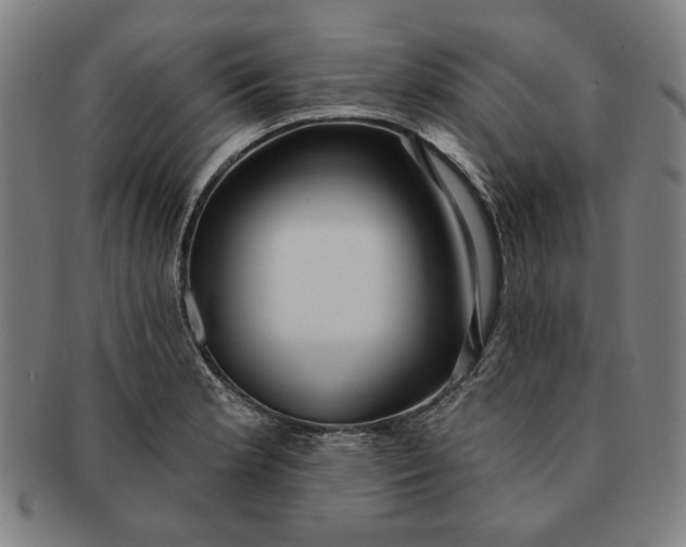 X0000091211181200708301421