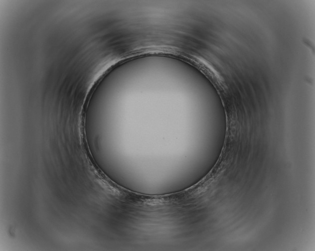 X0000091211182200708301421