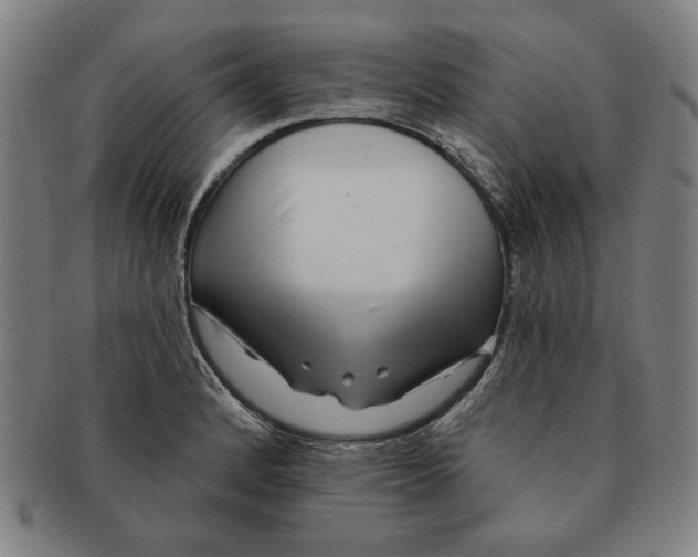 X0000091211184200708301421