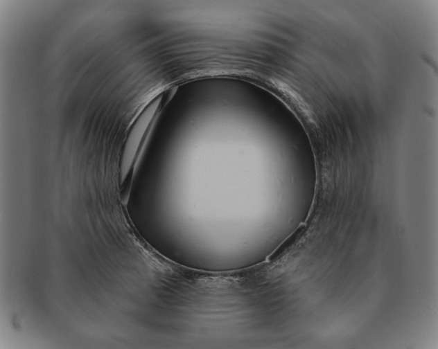 X0000091211185200708301421