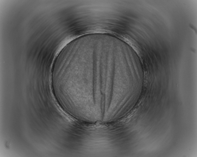 X0000091211187200708301421