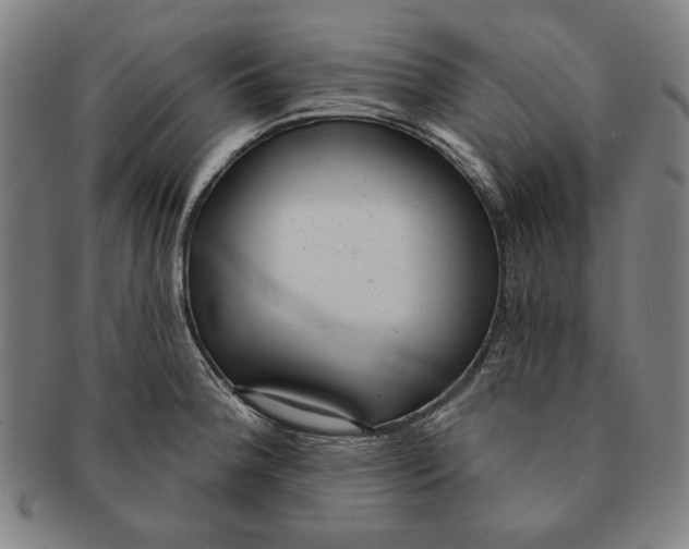 X0000091211188200708301421