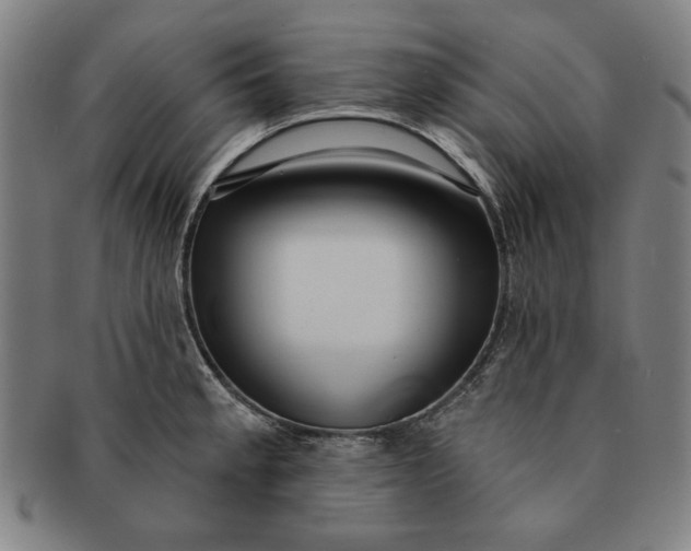 X0000091211189200708301421