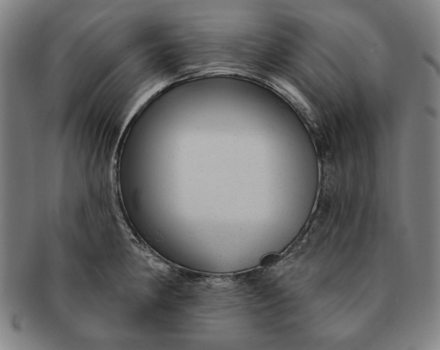 X0000091211190200708301421