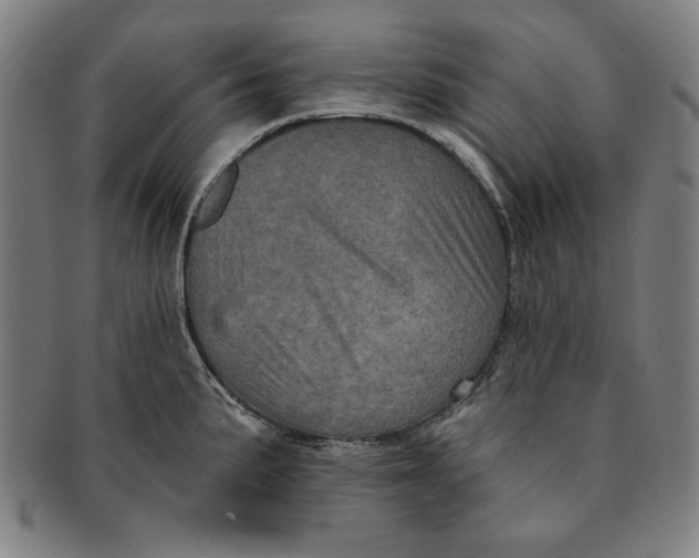 X0000091211191200708301421