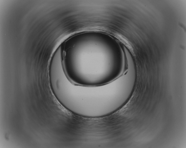 X0000091211192200708301421