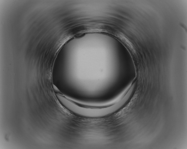 X0000091211193200708301421