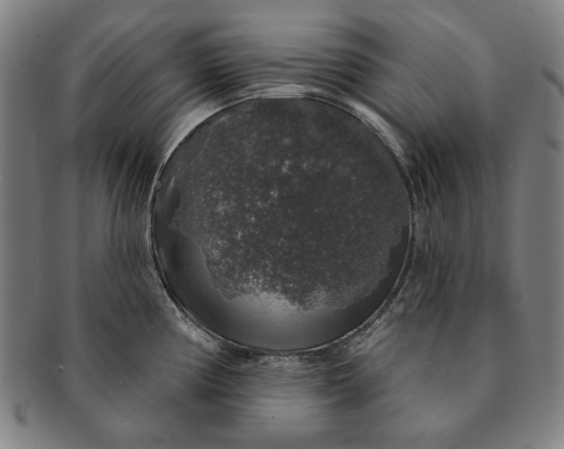 X0000091211194200708301421