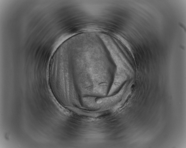 X0000091211195200708301421