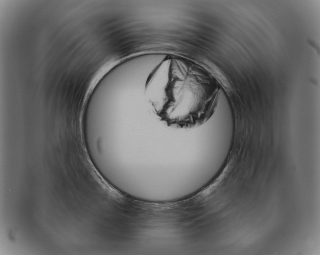 X0000091211196200708301421